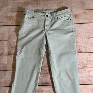Talbots Mint Green Boyfriend Chino
